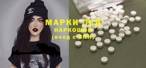 apvp Алзамай