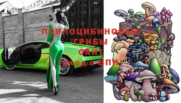 сатива Алексин