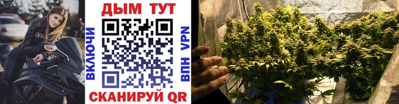 Конопля SATIVA & INDICA Клин